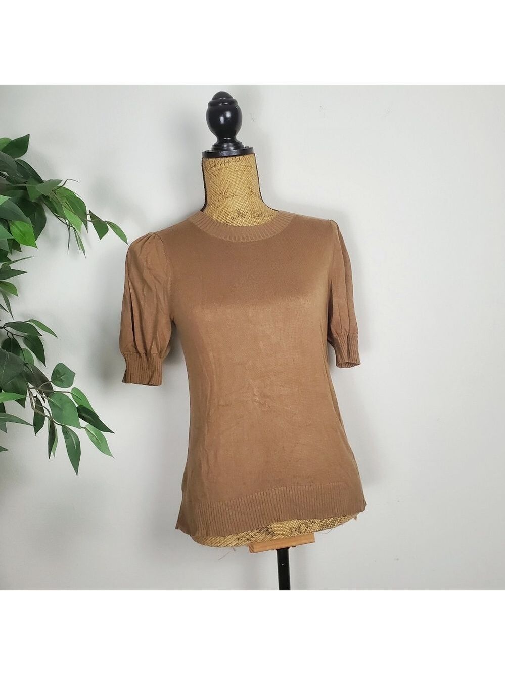 Ann Taylor LOFF Elegant Brown Women's Top Ribbed Sleeve Neck Size Medium Petite
